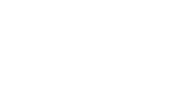 Vente Unique